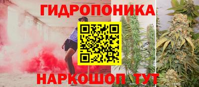 дживик Вязьма