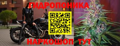 mdpv Вышний Волочёк