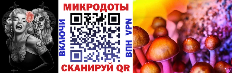 Псилоцибиновые грибы MAGIC MUSHROOMS Алексеевка