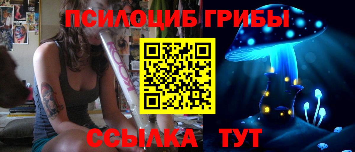 Галлюциногенные грибы прущие грибы  Галлюциногенные грибы прущие грибы  Алексеевка  Вход с VPN 